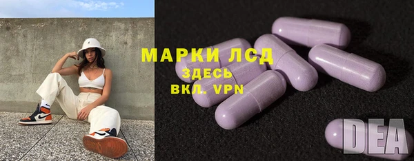 PSILOCYBIN Струнино