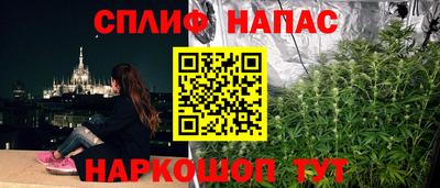 прущие крисы Донецк