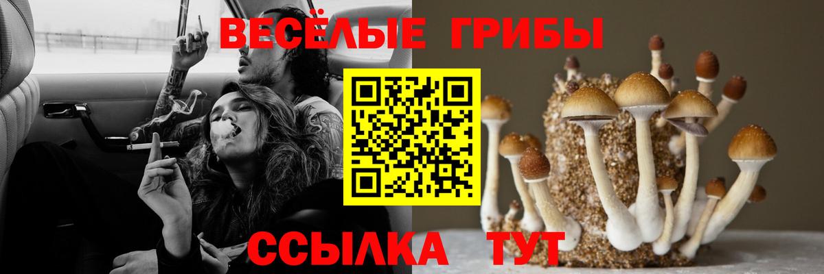 Псилоцибиновые грибы прущие грибы  Вход с VPN  где найти наркотики  Псилоцибиновые грибы мицелий  Югорск 
